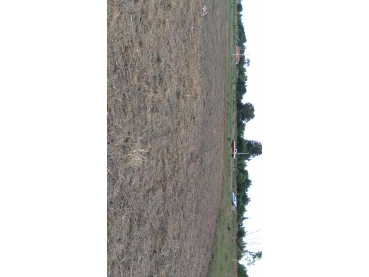 Lote Vendo