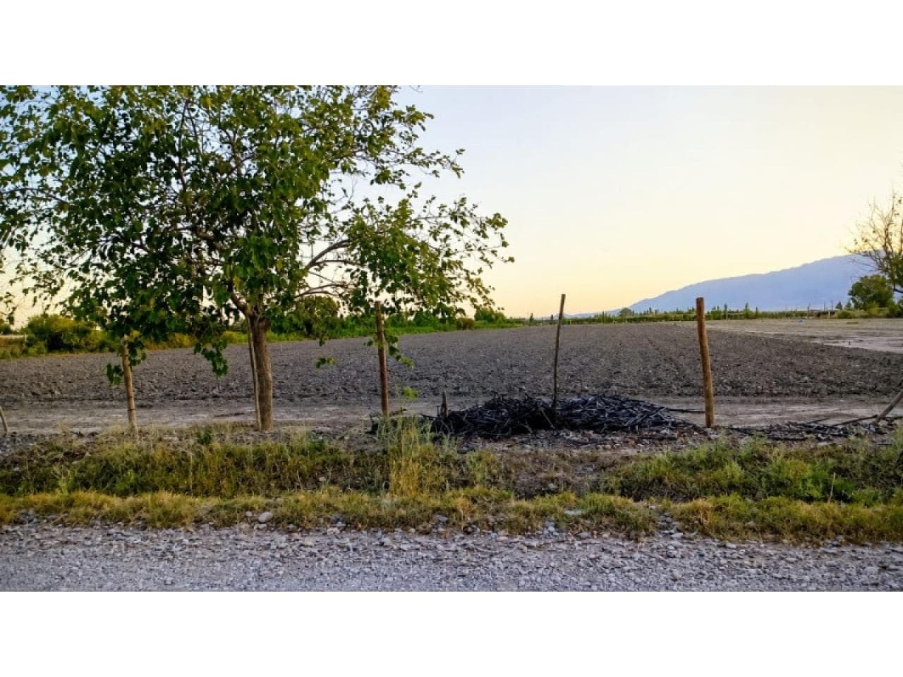 Venta Terreno 1.6 Has. Calle 8 Y Tascheret. Pocito. Mls#420981168-11