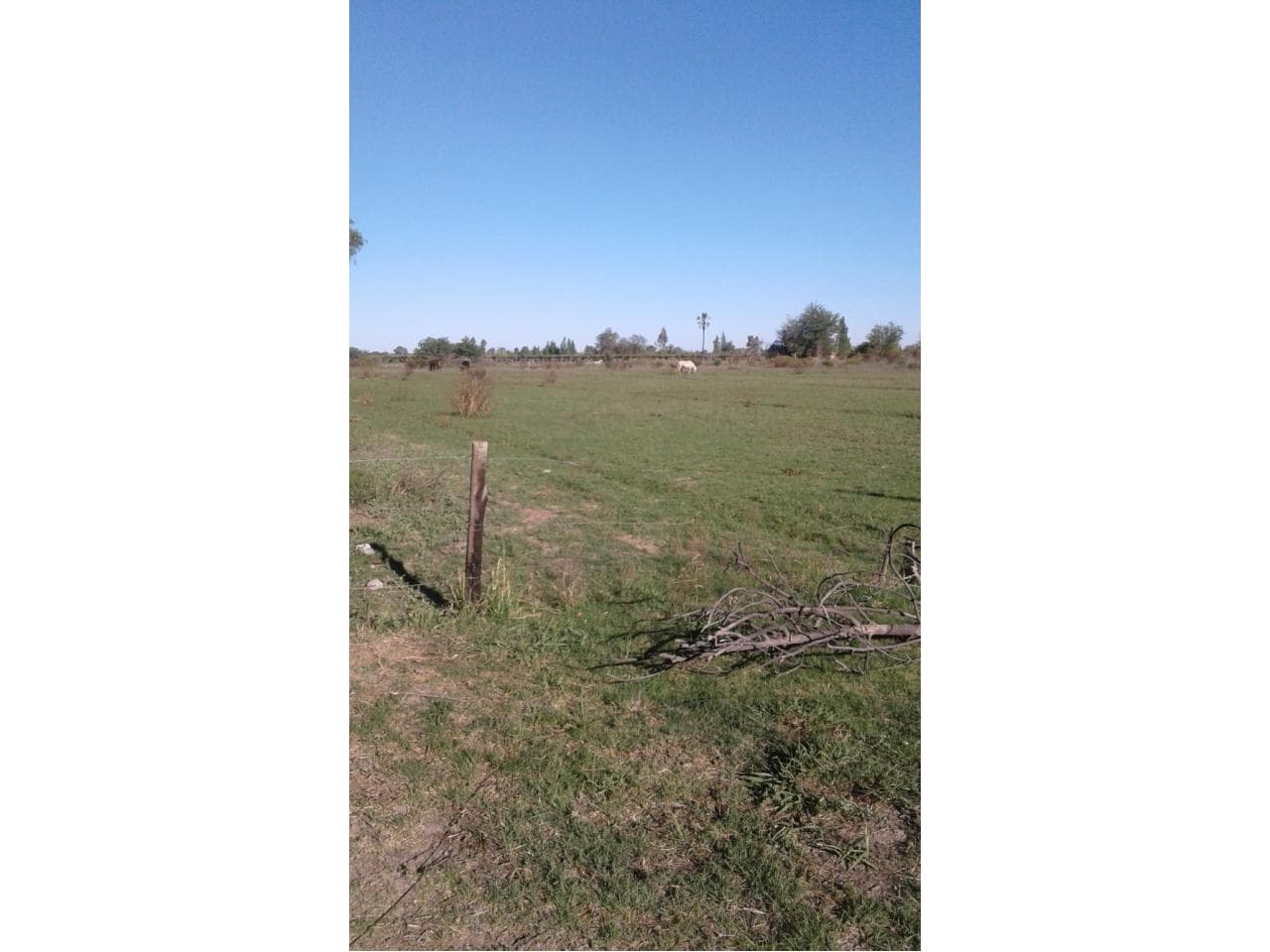 Venta De 13 Hectareas. En 25 De Mayo