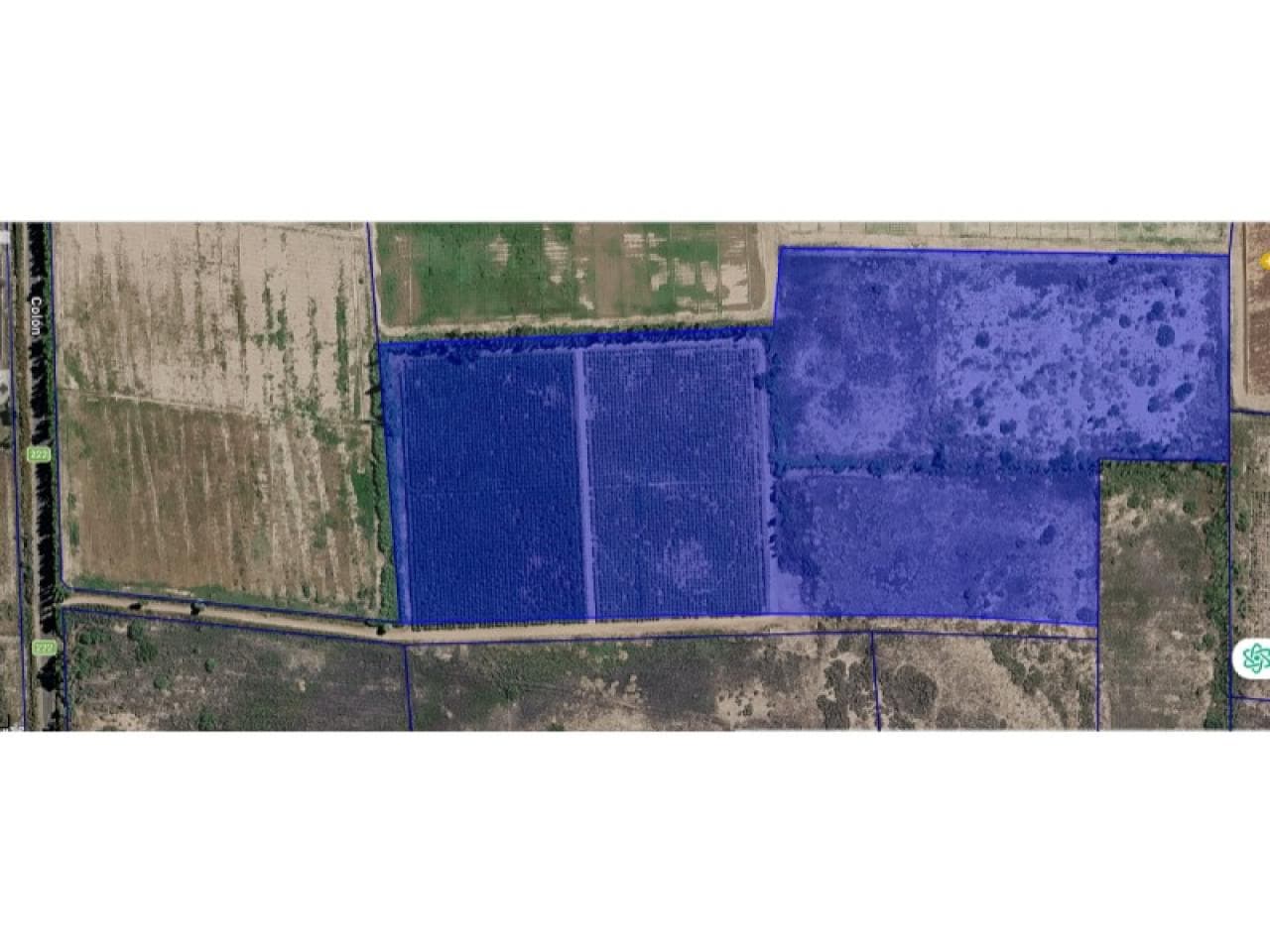 Finca Mas De 10 Hectáreas. 1063 Metros Cuadrados Con Parrales Y Riego. Inmejorable Ubicacion. Calle Colon. Oportunidad