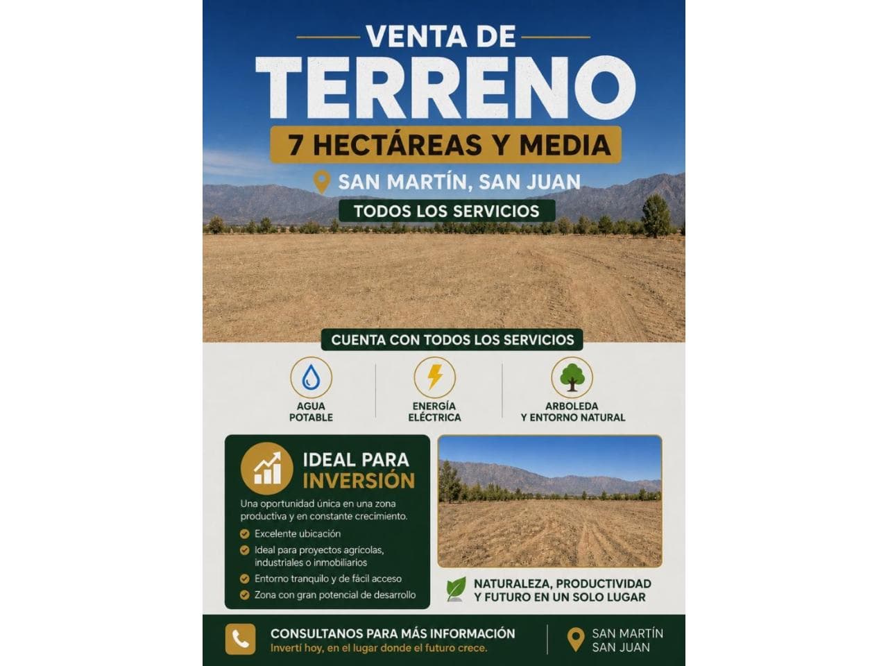 Vendo Terreno San Martín