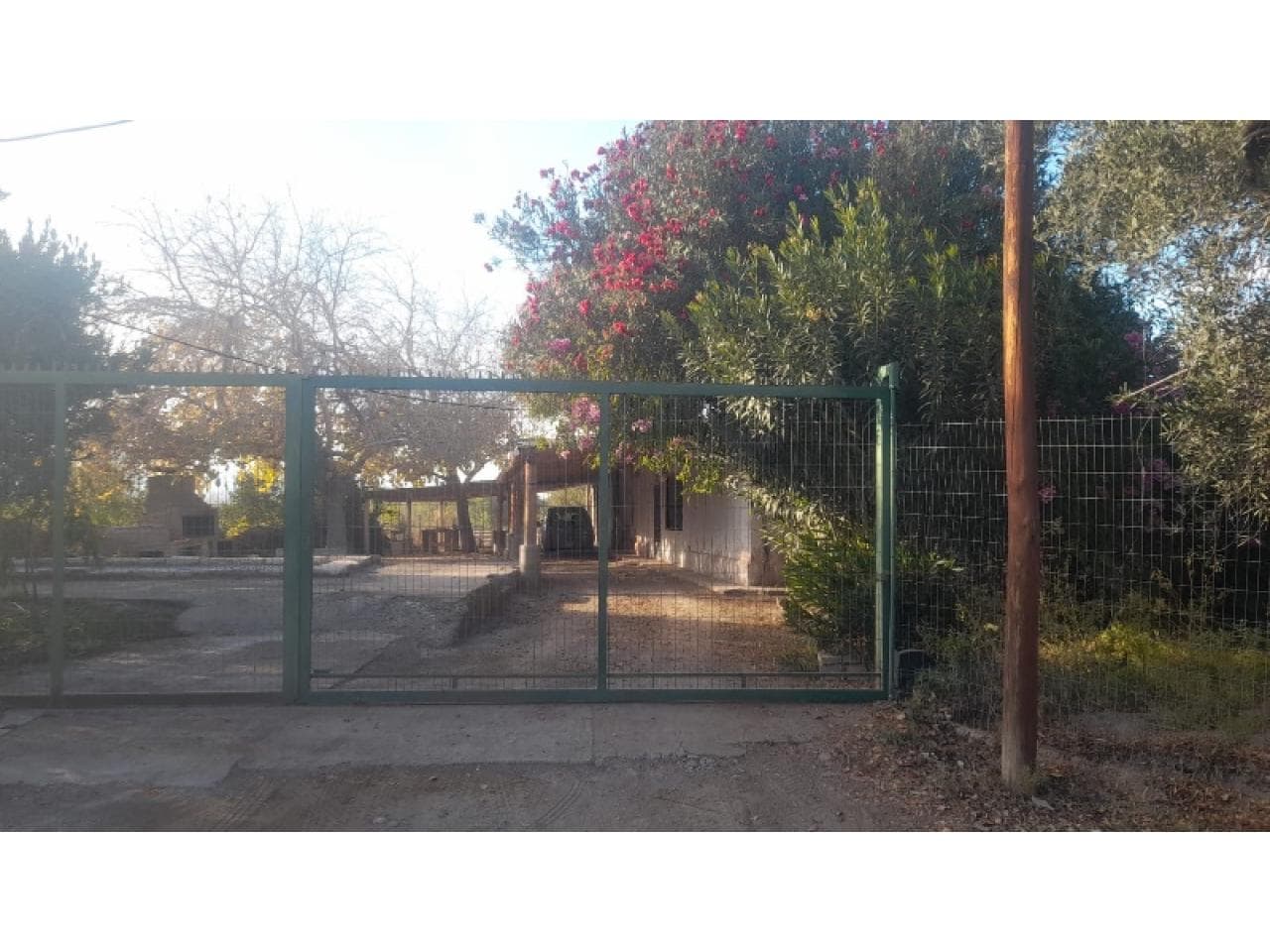 Venta- Casa Quinta- 9827m2- Albardón