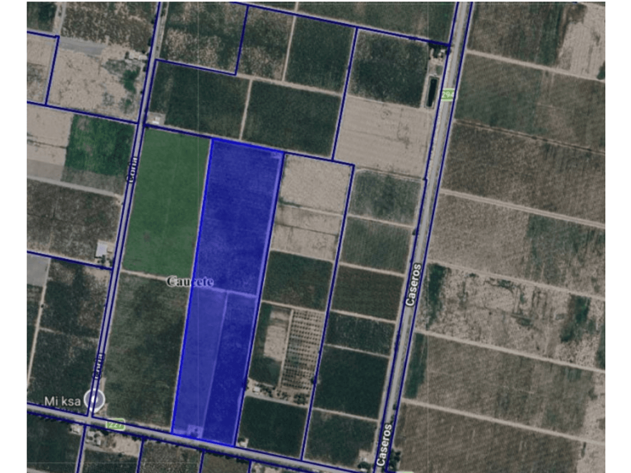 Venta | Finca Productiva De 52,9 Hectáreas  Caucete