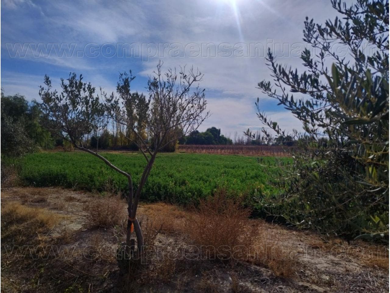 Venta Terreno De 2 Has En General Acha Y Calle 14. Pocito. Mls#420981159-86