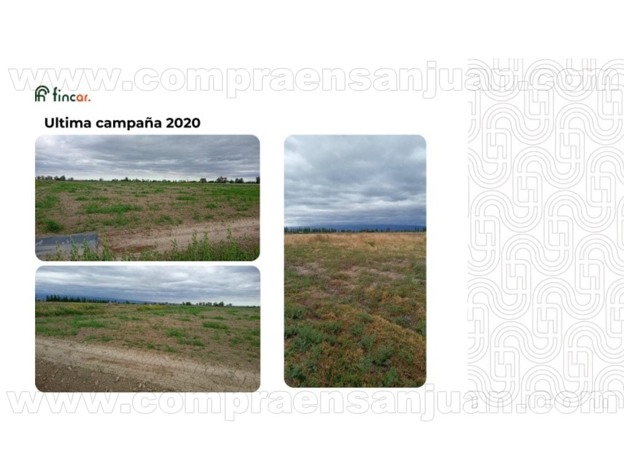 Oportunidad Arrendamiento Agrícola En 25 De Mayo