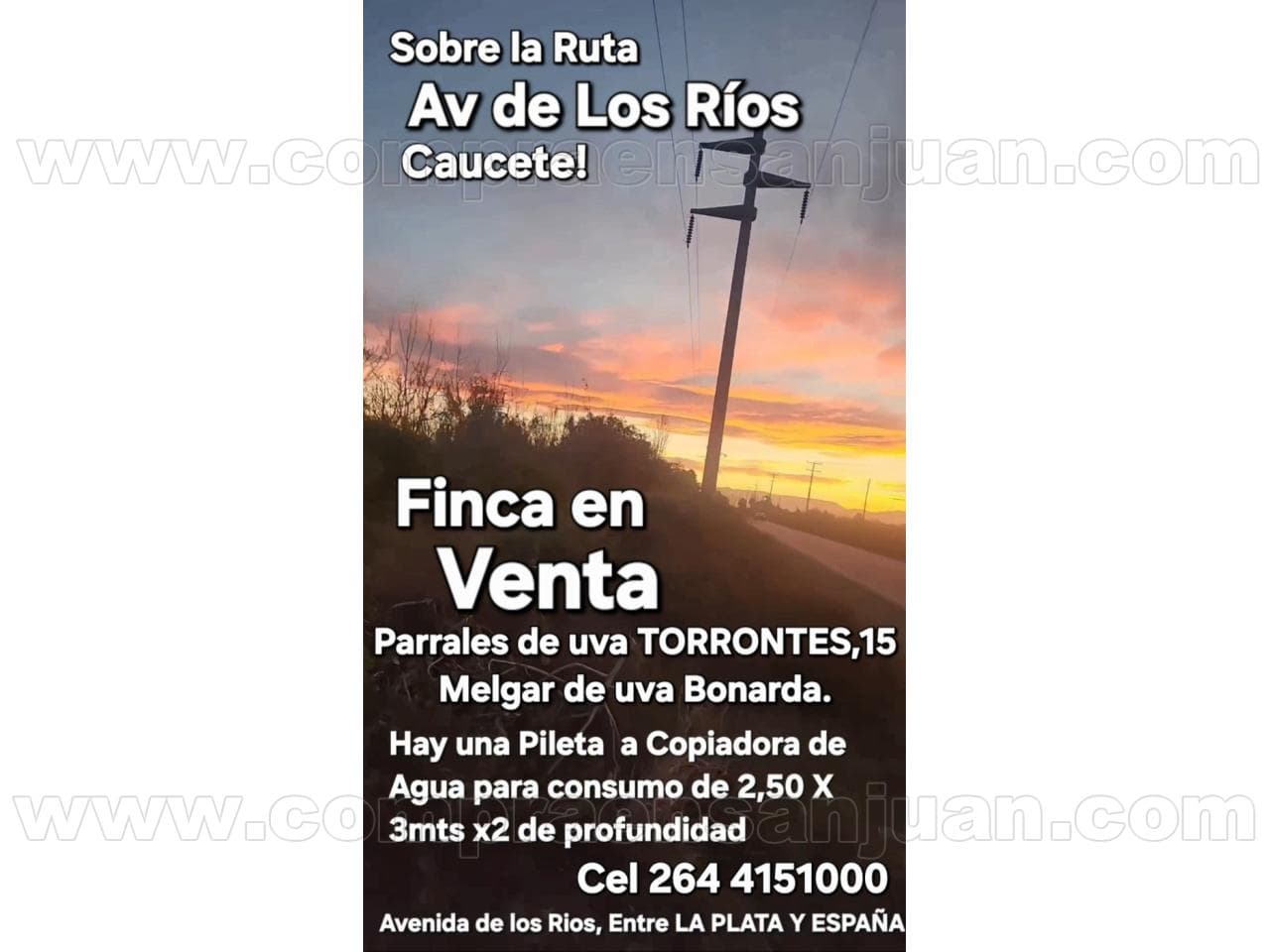 Venta Finca Dos Hectáreas Y Medias