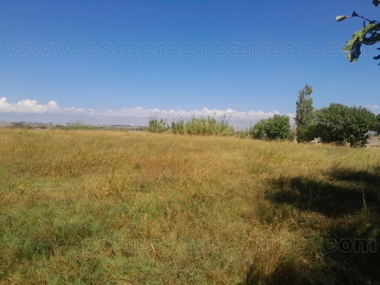 Dos Lotes En Venta. Albardón
