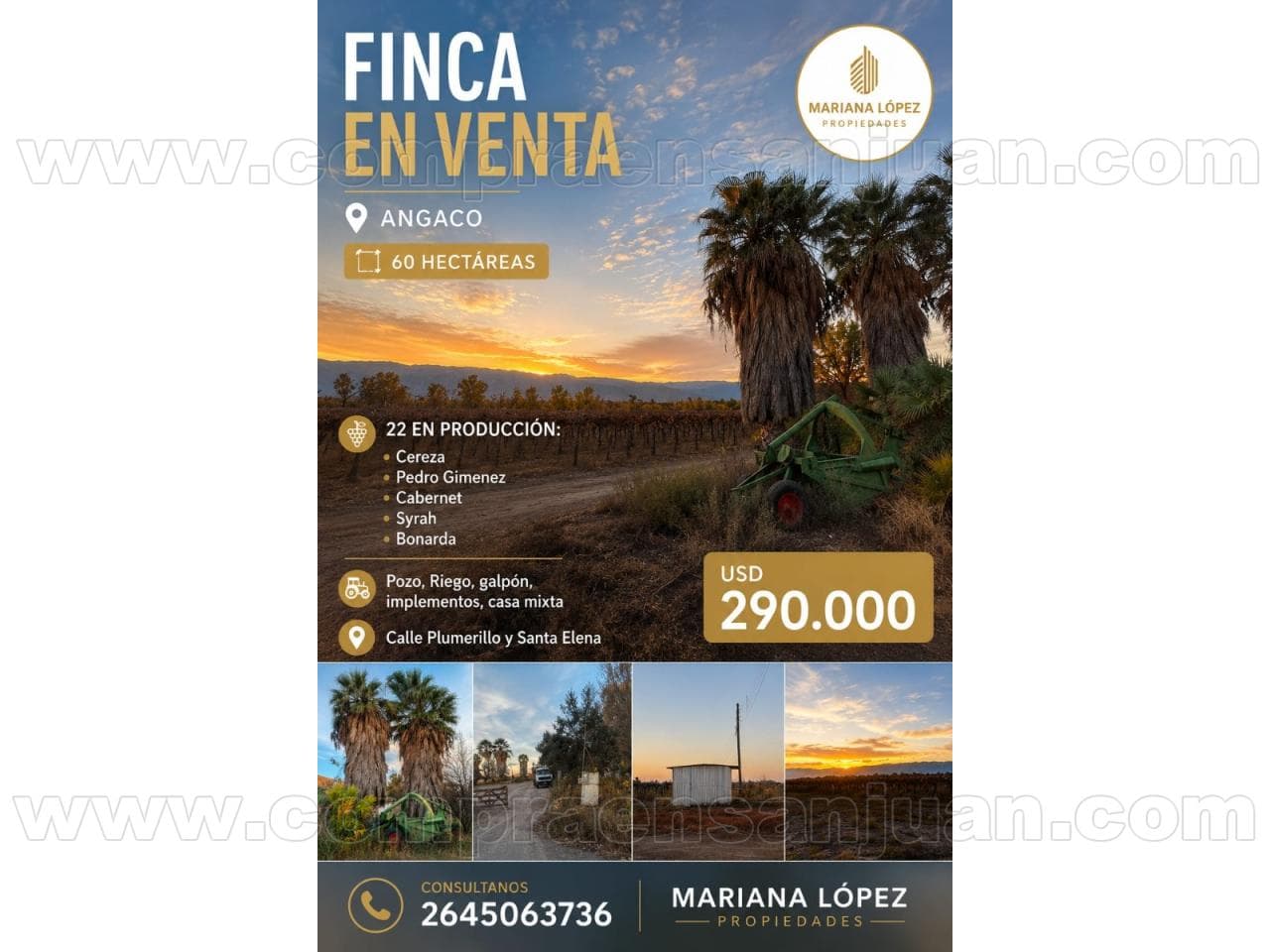 Venta. Finca En Angaco