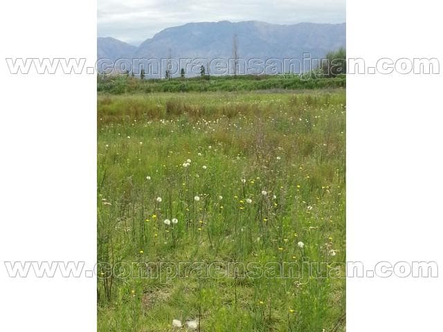 Lotes En Condominio Campo Ramon Franco De 2000 Mts