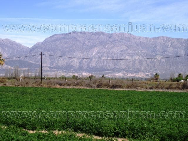 Lote Con Nomenclatura Catastral De1500 Mts. En Calle 13. Medano De Oro.